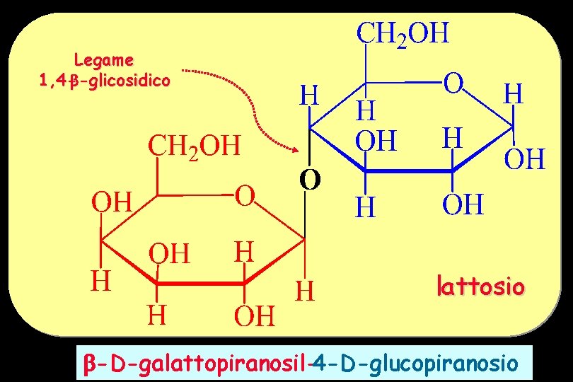 Legame 1, 4 - -glicosidico lattosio -D-galattopiranosil-4 -D-glucopiranosio 