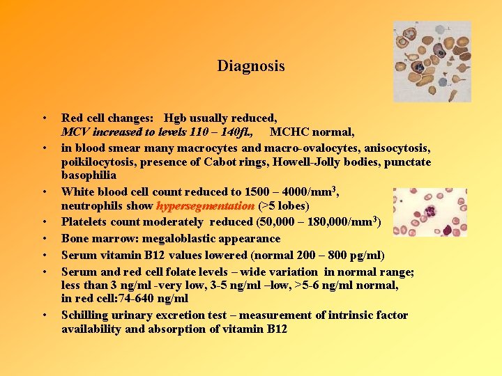 Diagnosis • • Red cell changes: Hgb usually reduced, MCV increased to levels 110