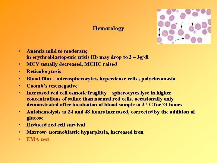 Hematology • • • Anemia mild to moderate; in erythroblastopenic crisis Hb may drop