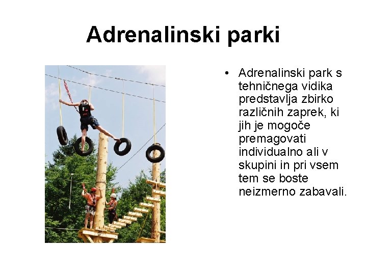 Adrenalinski parki • Adrenalinski park s tehničnega vidika predstavlja zbirko različnih zaprek, ki jih