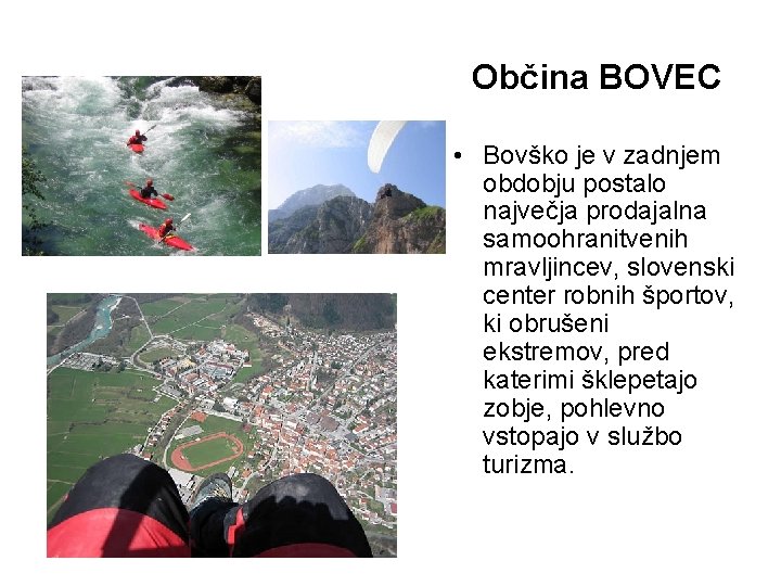 Občina BOVEC • Bovško je v zadnjem obdobju postalo največja prodajalna samoohranitvenih mravljincev, slovenski