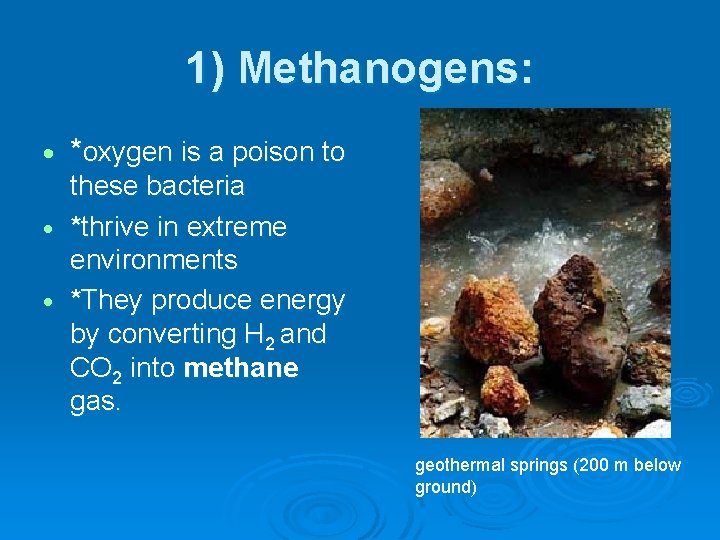 1) Methanogens: *oxygen is a poison to these bacteria *thrive in extreme environments *They