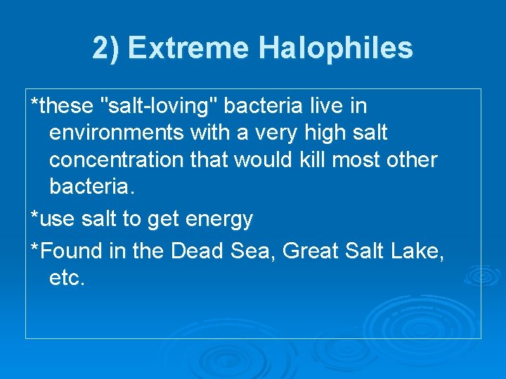 2) Extreme Halophiles *these "salt-loving" bacteria live in environments with a very high salt