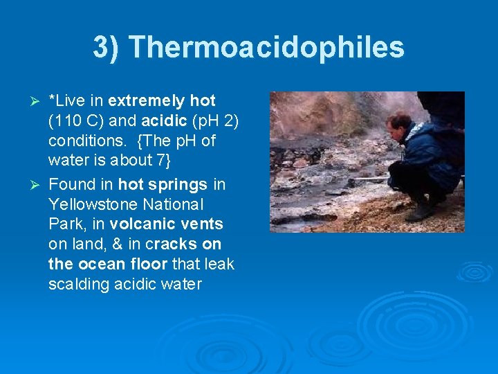 3) Thermoacidophiles *Live in extremely hot (110 C) and acidic (p. H 2) conditions.
