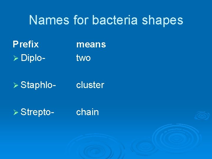 Names for bacteria shapes Prefix Ø Diplo- means two Ø Staphlo- cluster Ø Strepto-