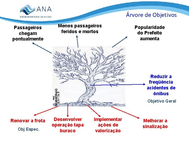 Árvore de Objetivos Passageiros chegam pontualmente Menos passageiros feridos e mortos Popularidade do Prefeito