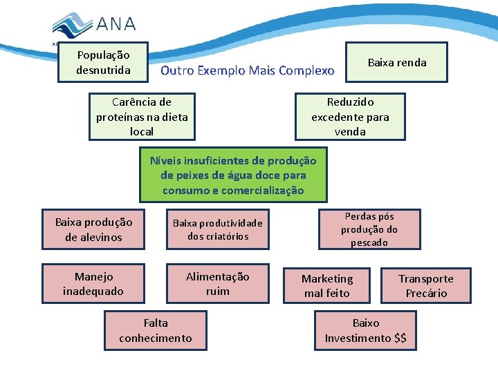 População desnutrida Baixa renda Outro Exemplo Mais Complexo Carência de proteínas na dieta local