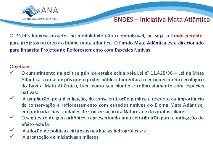 BNDES – Iniciativa Mata Atlântica O BNDES financia projetos na modalidade não reembolsável, ou