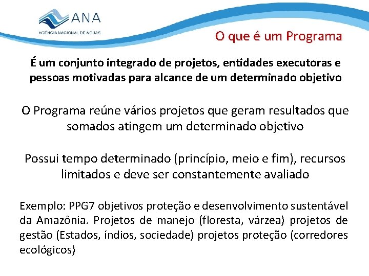 O que é um Programa É um conjunto integrado de projetos, entidades executoras e