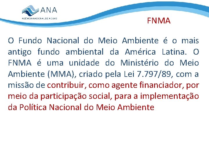 FNMA O Fundo Nacional do Meio Ambiente é o mais antigo fundo ambiental da