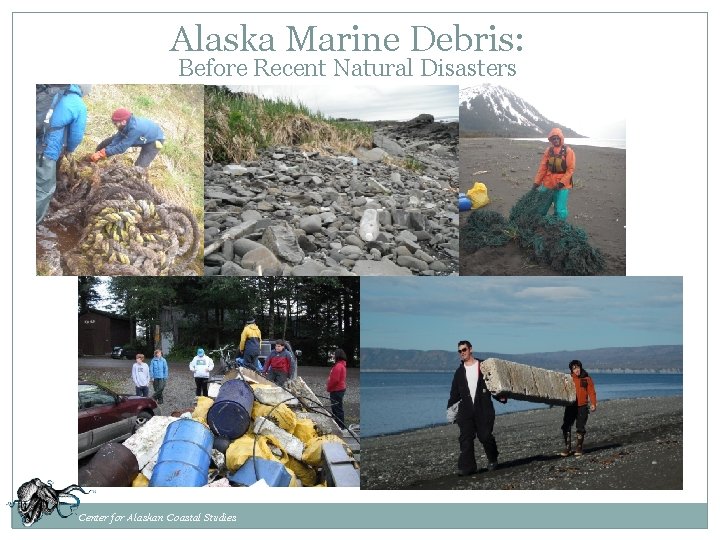 Alaska Marine Debris: Before Recent Natural Disasters Center for Alaskan Coastal Studies 