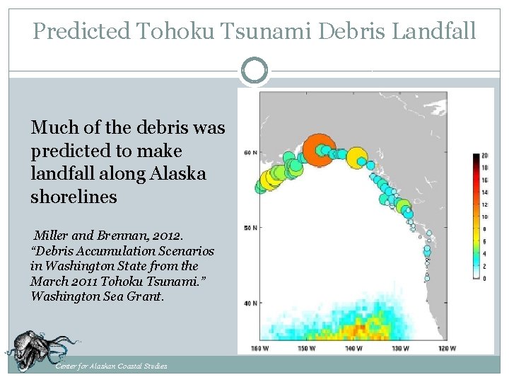Predicted Tohoku Tsunami Debris Landfall Much of the debris was predicted to make landfall