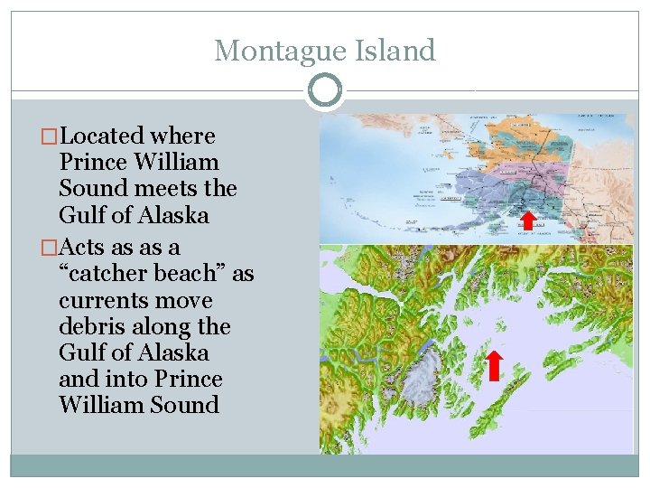 Montague Island �Located where Prince William Sound meets the Gulf of Alaska �Acts as