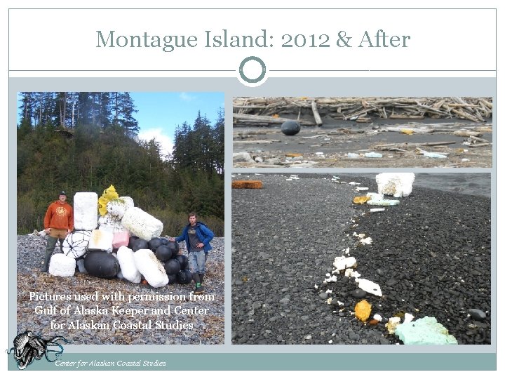 Montague Island: 2012 & After Pictures used with permission from Gulf of Alaska Keeper