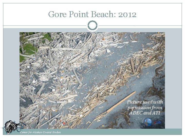 Gore Point Beach: 2012 Picture used with permission from ADEC and ATI Center for