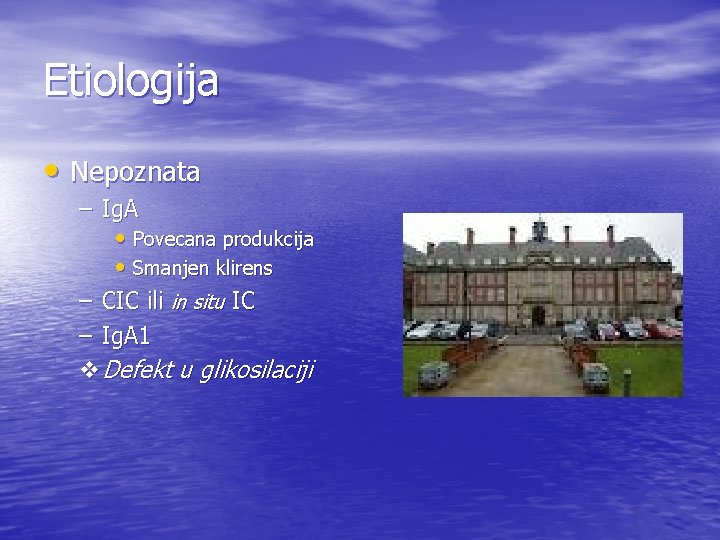 Etiologija • Nepoznata – Ig. A • Povecana produkcija • Smanjen klirens – CIC