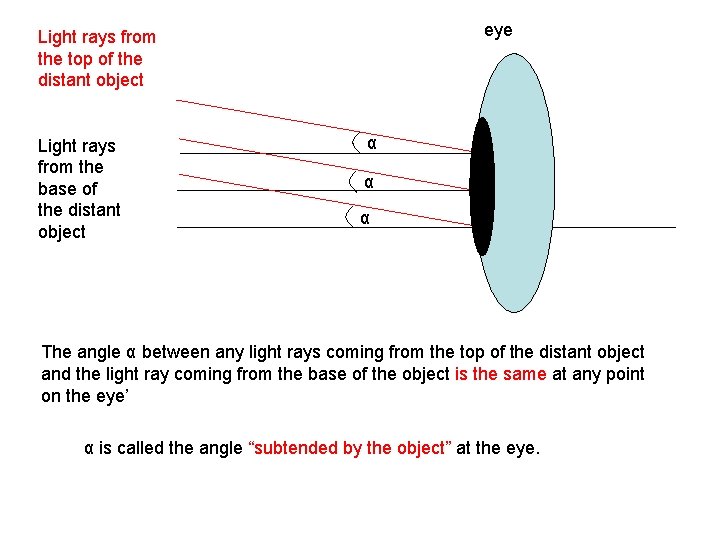 eye Light rays from the top of the distant object Light rays from the