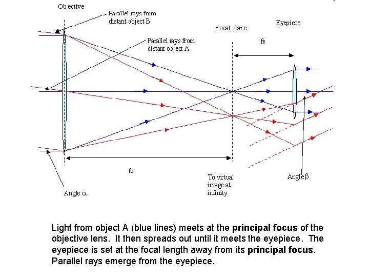 Light from object A (blue lines) meets at the principal focus of the objective