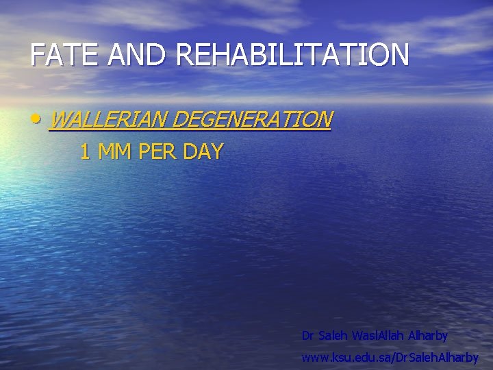 FATE AND REHABILITATION • WALLERIAN DEGENERATION 1 MM PER DAY Dr Saleh Wasl. Allah FATE AND REHABILITATION • WALLERIAN DEGENERATION 1 MM PER DAY Dr Saleh Wasl. Allah