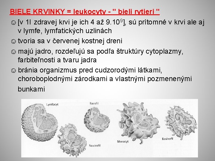 BIELE KRVINKY = leukocyty - " bieli rytieri " ☺ [v 1 l zdravej