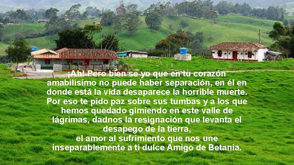 ¡Ah! Pero bien se yo que en tu corazón amabilísimo no puede haber separación,