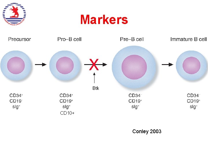 Markers CD 10+ Conley 2003  Markers CD 10+ Conley 2003