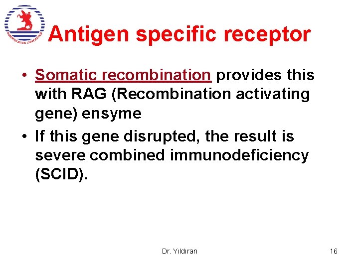 Antigen specific receptor • Somatic recombination provides this with RAG (Recombination activating gene) ensyme