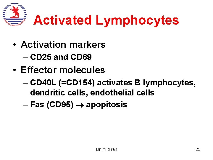 Activated Lymphocytes • Activation markers – CD 25 and CD 69 • Effector molecules Activated Lymphocytes • Activation markers – CD 25 and CD 69 • Effector molecules