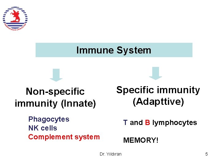 Immune System Specific immunity (Adapttive) Non-specific immunity (Innate) Phagocytes NK cells Complement system Dr.