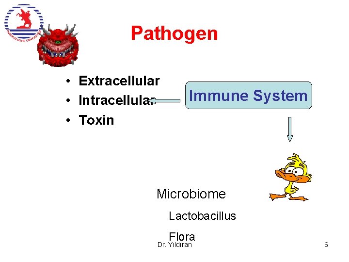 Pathogen • Extracellular • Intracellular • Toxin Immune System Microbiome Lactobacillus Flora Dr. Yıldıran
