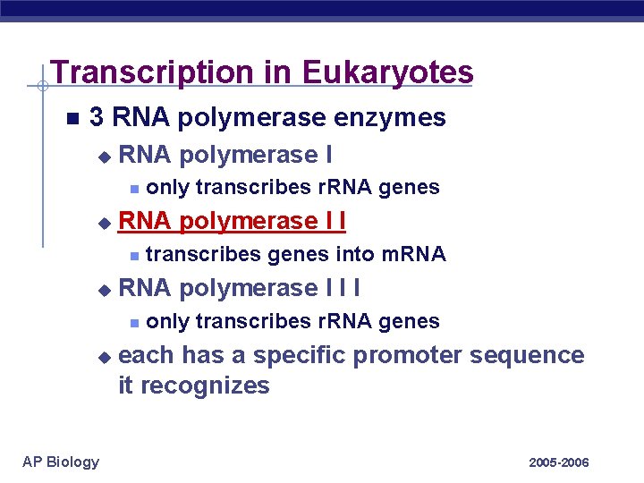 Transcription in Eukaryotes 3 RNA polymerase enzymes u RNA polymerase I I u AP