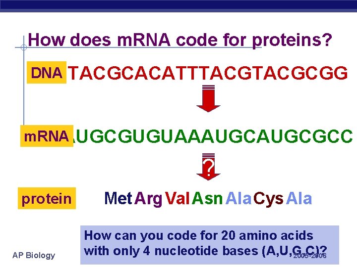 How does m. RNA code for proteins? DNA TACGCACATTTACGCGG m. RNA AUGCGUGUAAAUGCGCC ? protein
