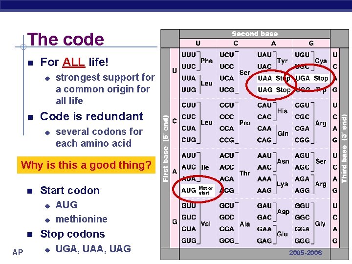 The code For ALL life! u strongest support for a common origin for all