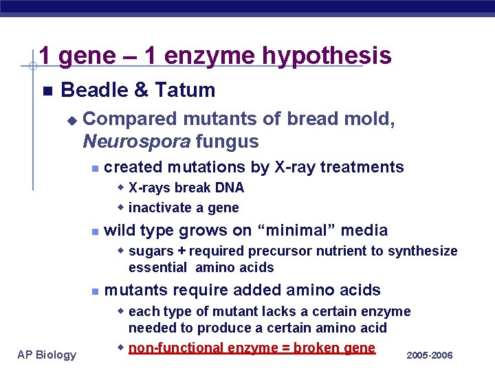 1 gene – 1 enzyme hypothesis Beadle & Tatum u Compared mutants of bread