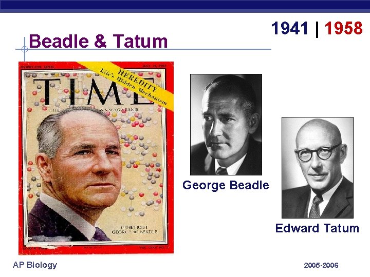 1941 | 1958 Beadle & Tatum George Beadle Edward Tatum AP Biology 2005 -2006