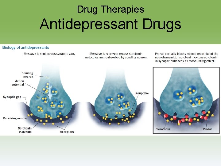 Drug Therapies Antidepressant Drugs 