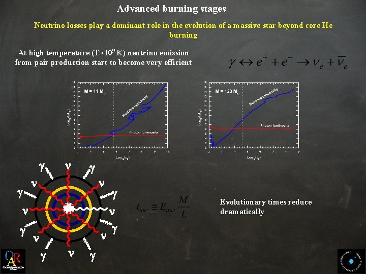 Advanced burning stages Neutrino losses play a dominant role in the evolution of a