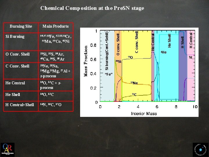 Chemical Composition at the Pre. SN stage O Conv. Shell 28 Si, 32 S,