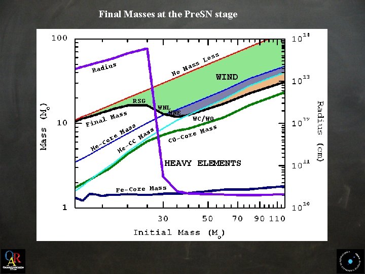 Final Masses at the Pre. SN stage oss L ass M No us Radi