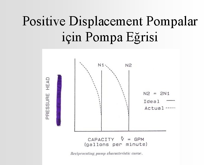 Positive Displacement Pompalar için Pompa Eğrisi 