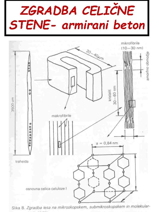 ZGRADBA CELIČNE STENE- armirani beton 