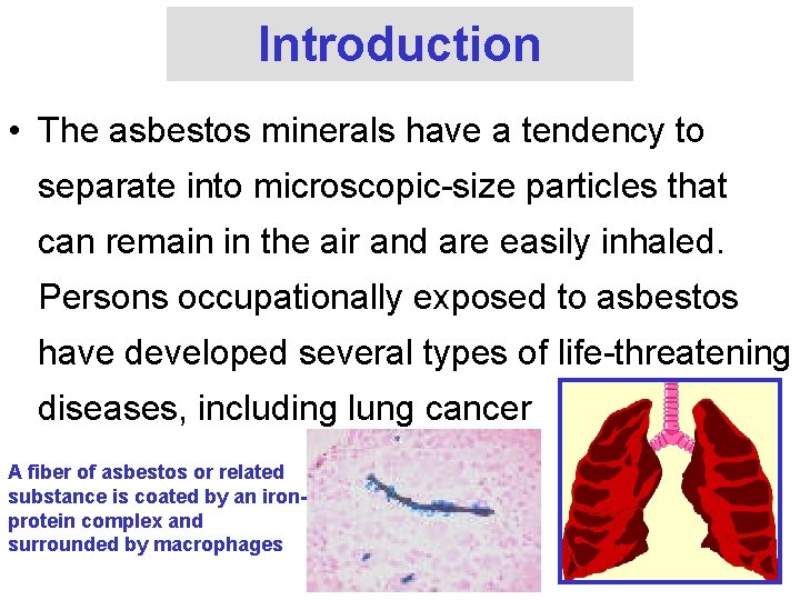 Introduction • The asbestos minerals have a tendency to separate into microscopic-size particles that