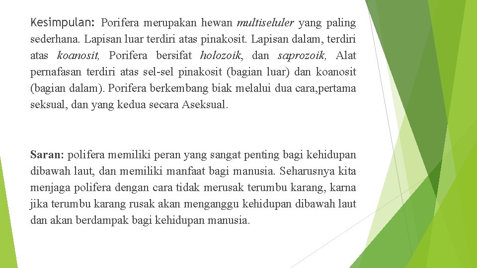 Kesimpulan: Porifera merupakan hewan multiseluler yang paling sederhana. Lapisan luar terdiri atas pinakosit. Lapisan