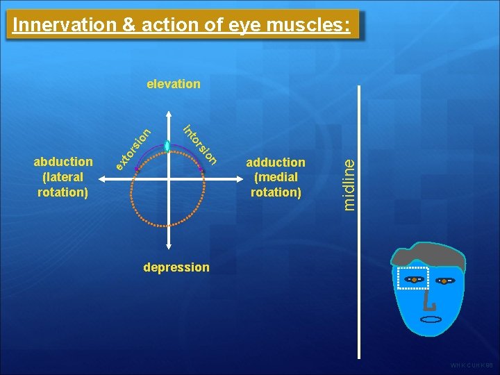 Innervation & action of eye muscles: adduction (medial rotation) midline io rs to ex