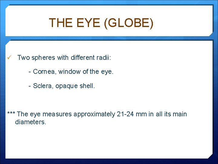 THE EYE (GLOBE) ü Two spheres with different radii: - Cornea, window of the