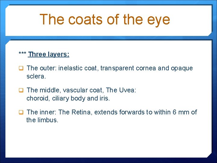 The coats of the eye *** Three layers: q The outer: inelastic coat, transparent