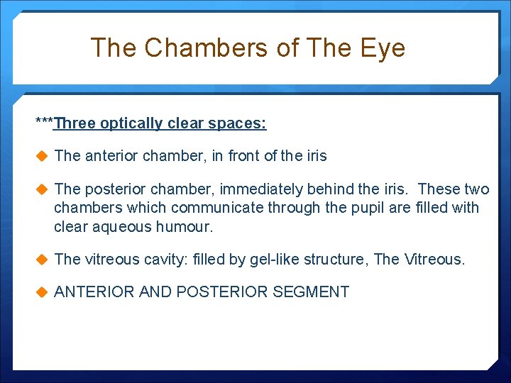 The Chambers of The Eye ***Three optically clear spaces: u The anterior chamber, in