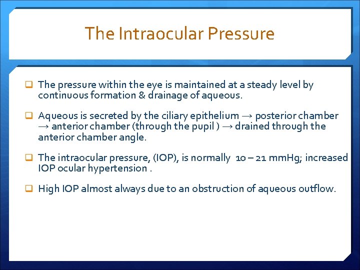 The Intraocular Pressure q The pressure within the eye is maintained at a steady