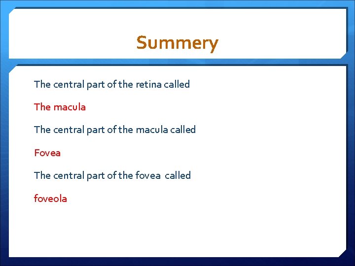 Summery The central part of the retina called The macula The central part of