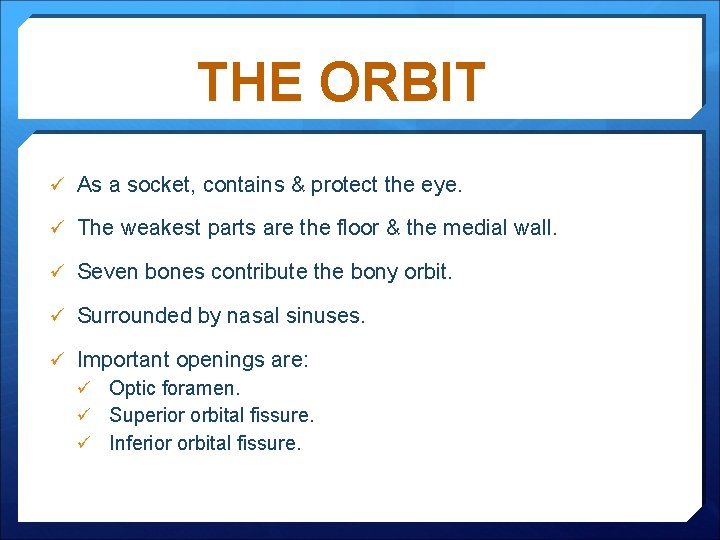 THE ORBIT ü As a socket, contains & protect the eye. ü The weakest